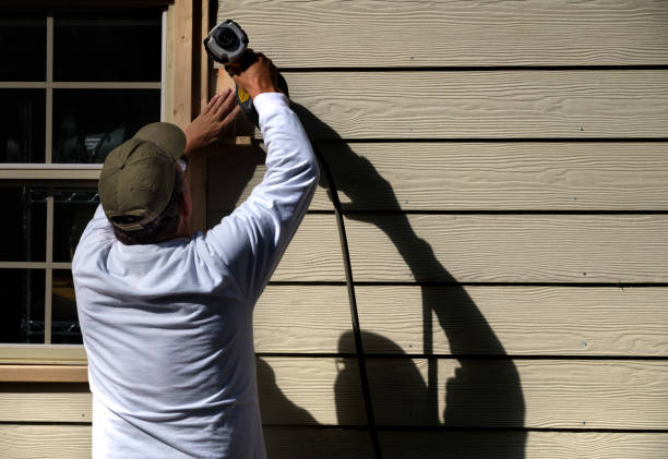 Best Custom Trim and Detailing for Siding  in Verona, MS